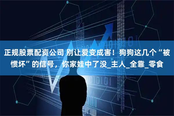 正规股票配资公司 别让爱变成害！狗狗这几个“被惯坏”的信号，你家娃中了没_主人_全靠_零食